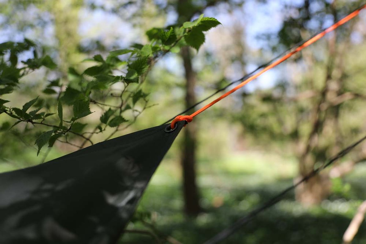 Närm vy av tarpspets med metallöga och sträckt orange lina i skog