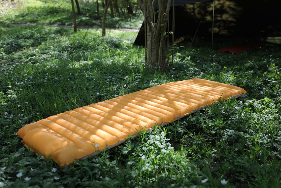 Utblåst orange Fjällmark Dreamsleep i solig skog