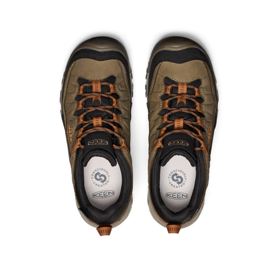 Targhee IV Hiking Shoe Men's