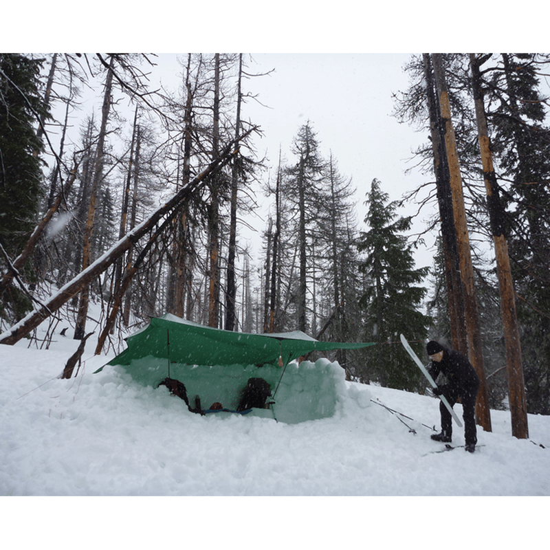 Grön Hilleberg Tarp 10 UL som väderskydd över snö i skogsmiljö