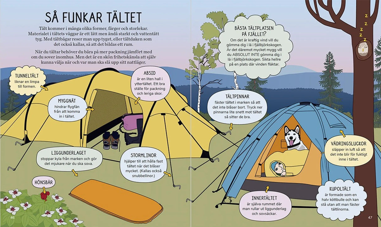 Barnens fjällbok - En handbok för unga fjällvandrare