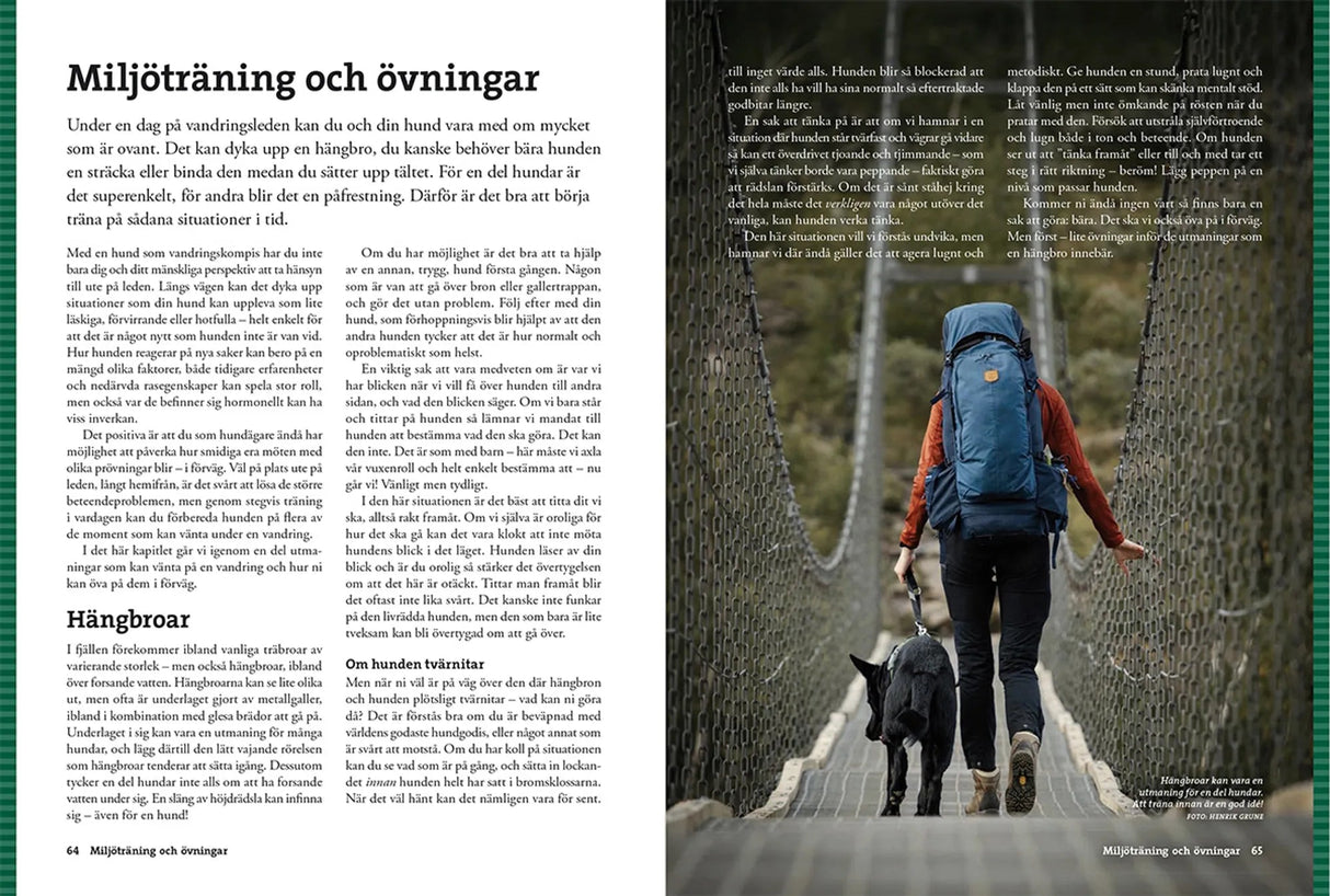 Vandra med hund