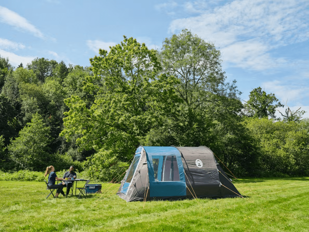 Coleman Cook 4 tunnel-tält uppställt på gräsmatta med campingmiljö