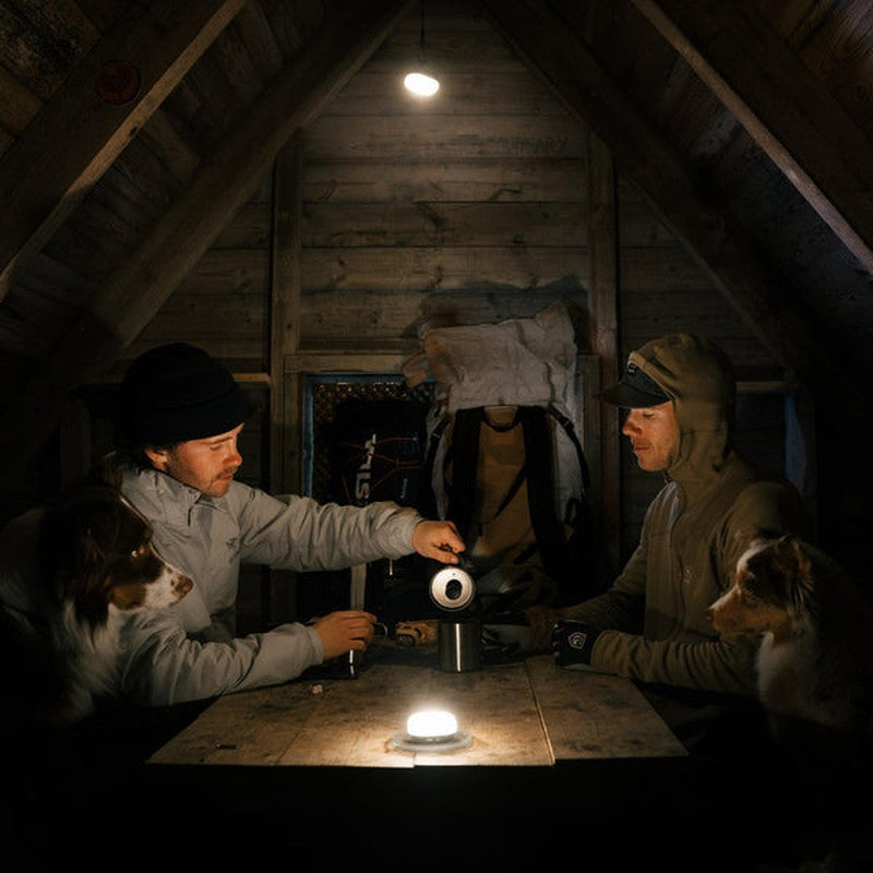 Campinglykta i stuga med hundar och gäster