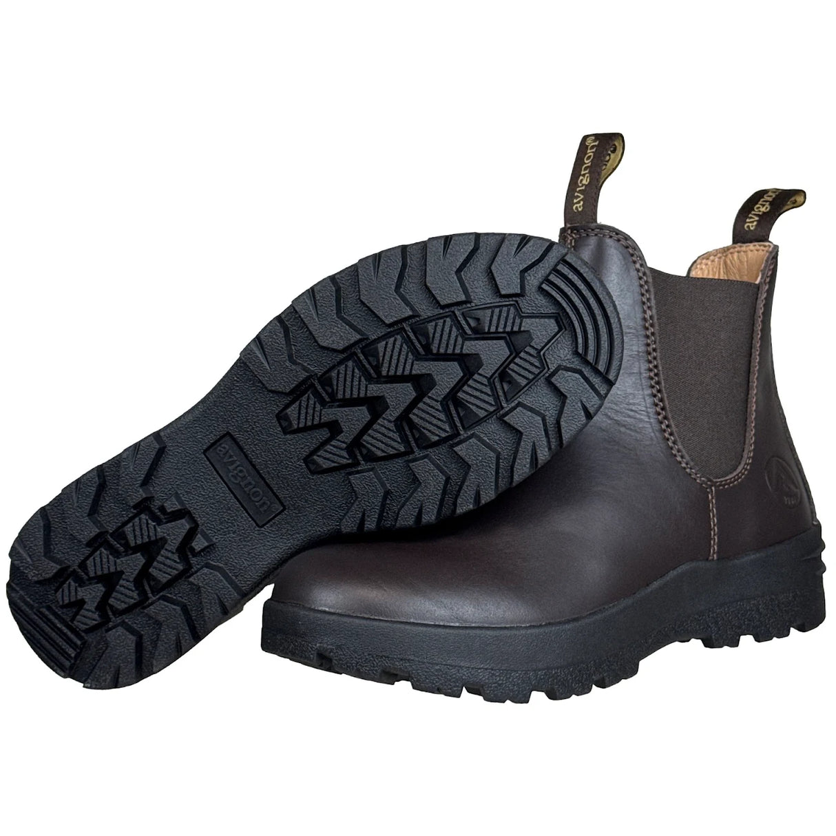 Darwin Jodhpurs
