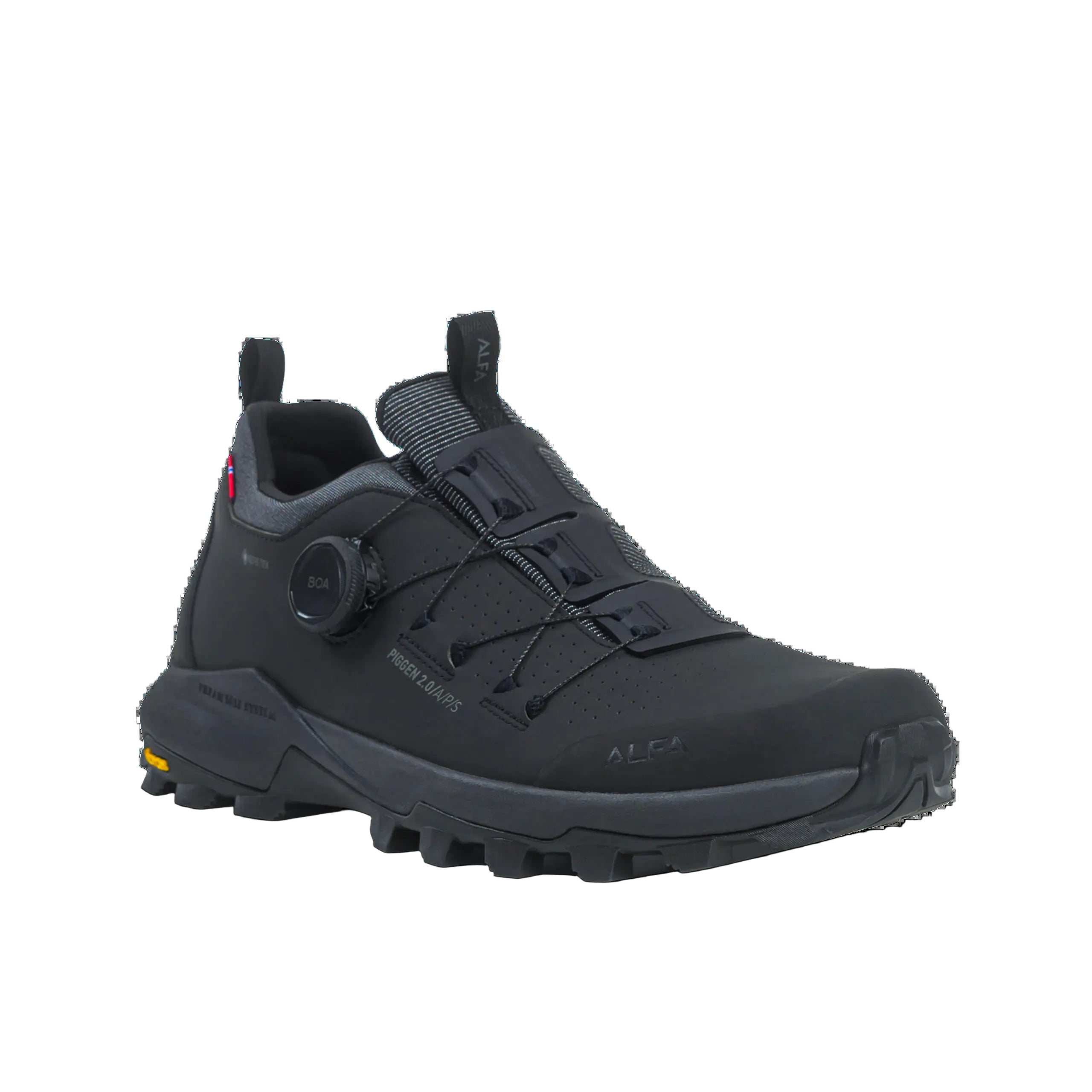 Piggen 2.0 GTX Sko Herr