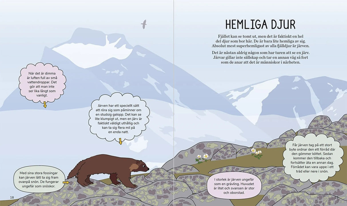 Barnens fjällbok - En handbok för unga fjällvandrare