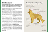 Vandra med hund