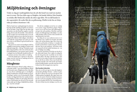 Vandra med hund