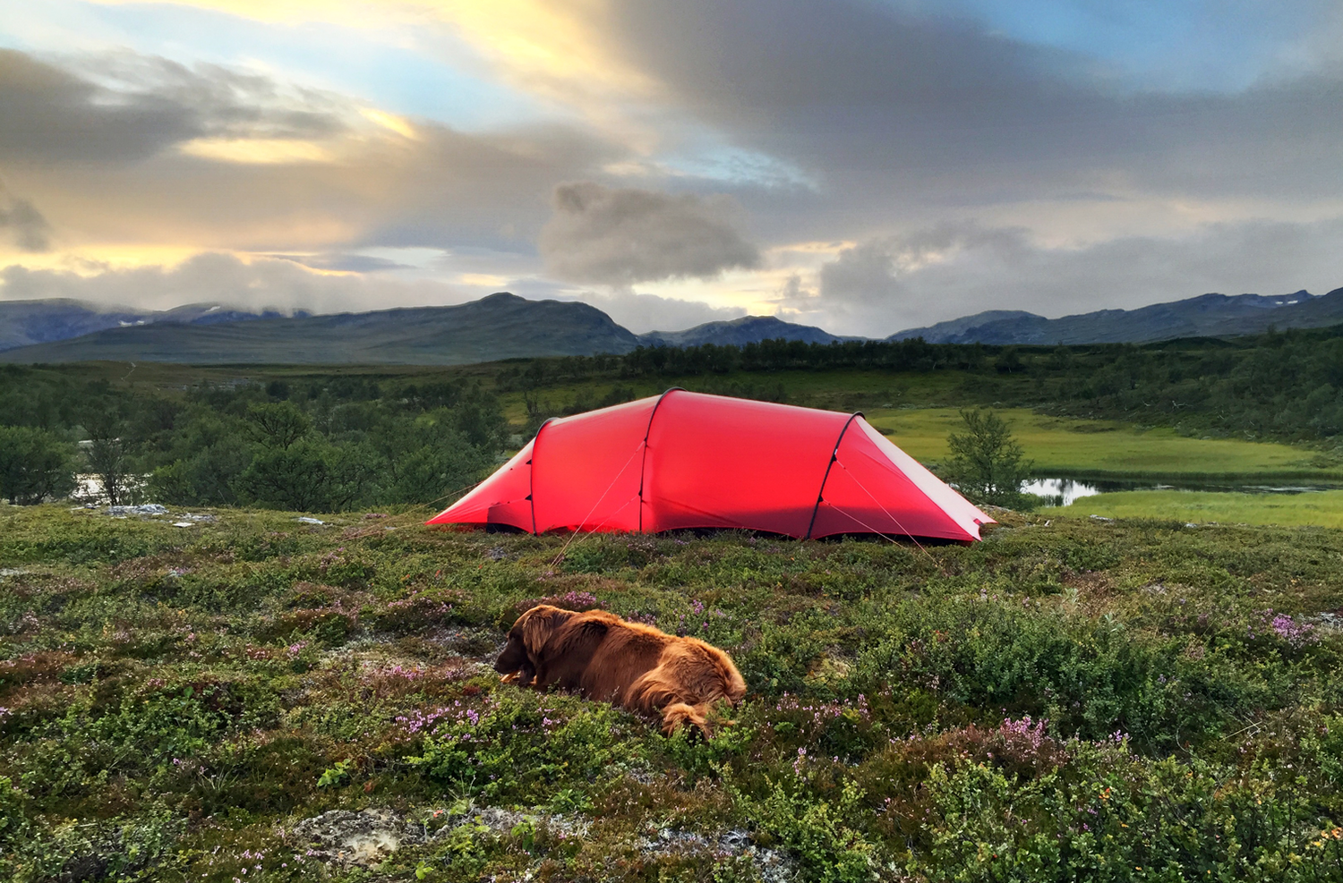 Anjan Hiking Tent 2p