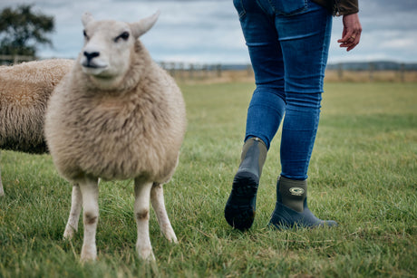 Midline 5.0 Gummistövel