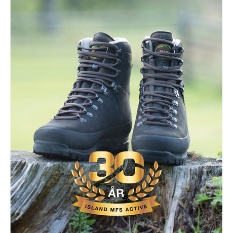 Island MFS Active GTX Känga