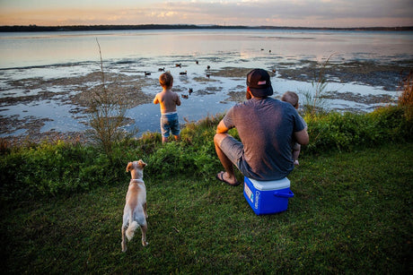 Performance Cooler Tricolor