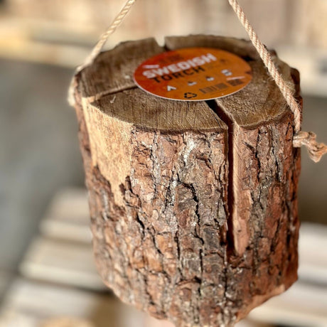 Svensk fackla / Swedish torch