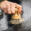 Dish Brush
