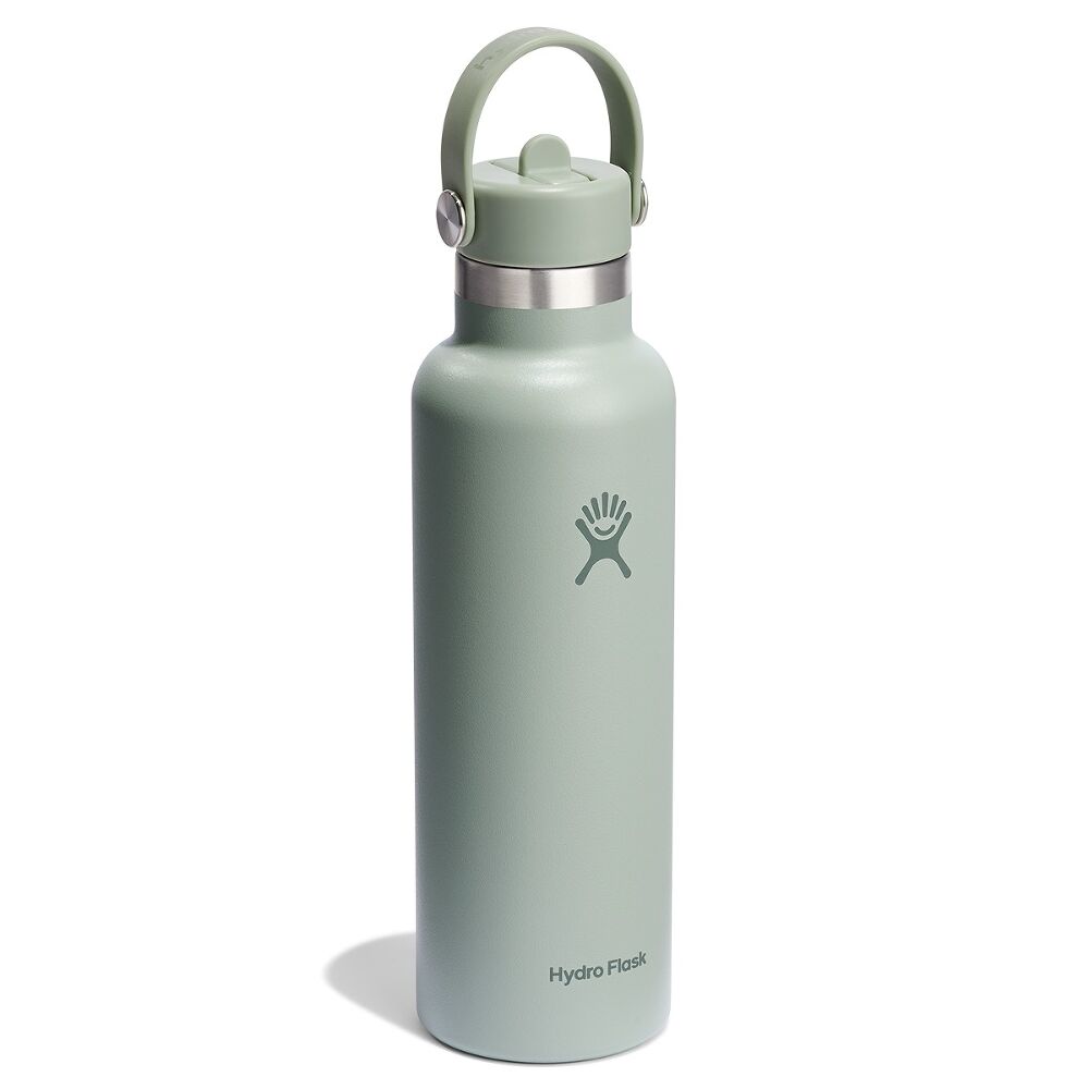 Ljusgrön mint Hydro Flask vattenflaska med bärhandtagslock och matt yta